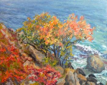 ������� ��� ������ ��������