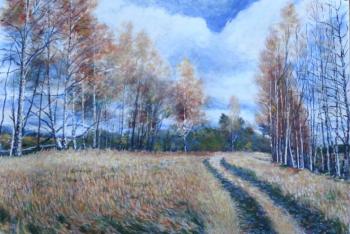 Autumn. Surroundings of the village of Plotavtseva. Vladimir Oblast. Filiykov Alexander