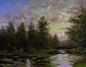 Sunset over the overgrown pond. Konturiev Vaycheslav