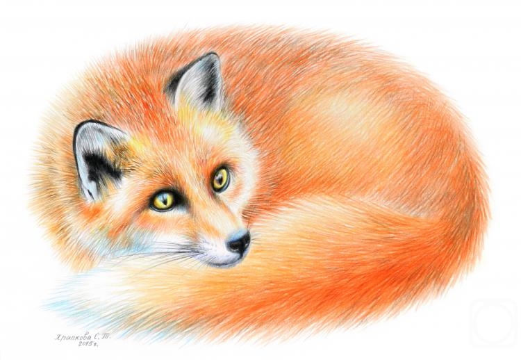 �������. �������� ��������. �������