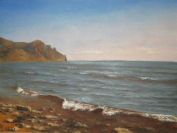 Deserted sea. Surakin Alexandr