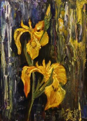 Iris Swamp. Rakhmatulin Roman