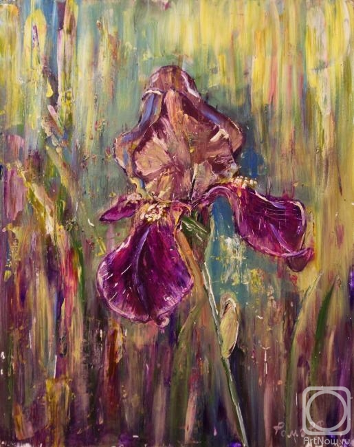 �������. ���������� �����. ����