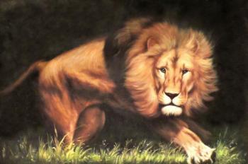 Lion (Night Safari). Bruno Augusto