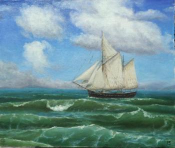 Under all sails (Sailing-Vessel). Surakin Alexandr