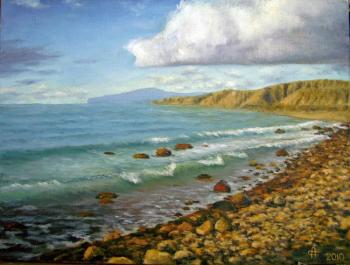 Fox bay. Surakin Alexandr