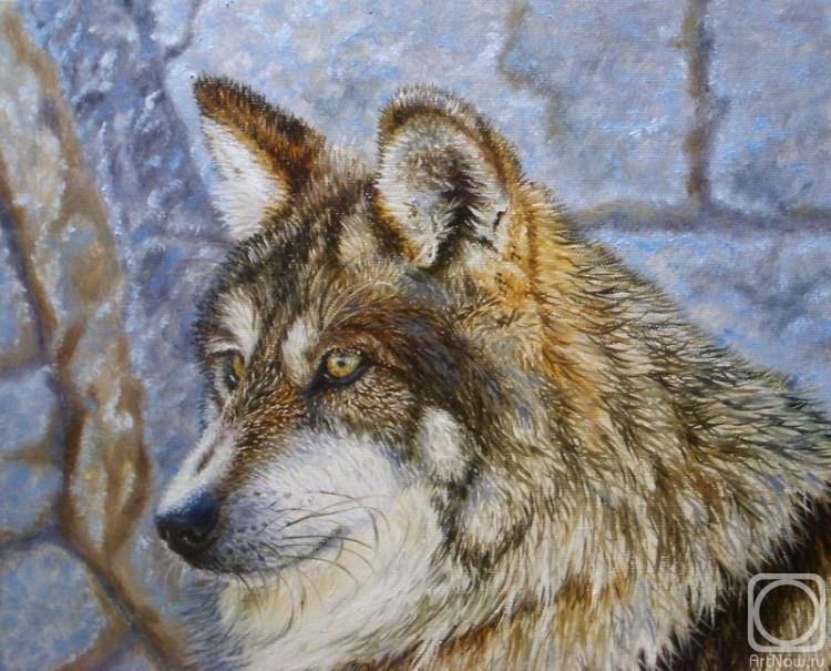 Chuprina Irina. wolf