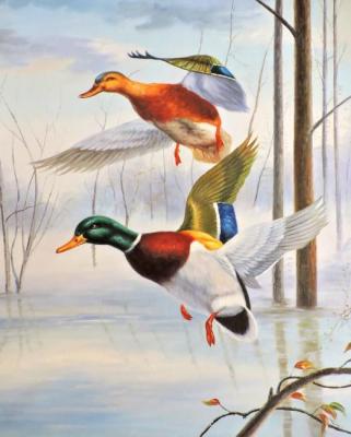 Ducks (Hunting For Ducks). Bruno Augusto