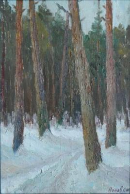 Pine. January. Popov Sergey