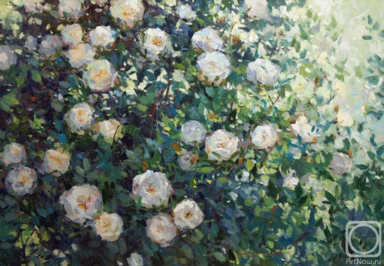 ������� ������ �� ������. �������� �������. ����� ��������