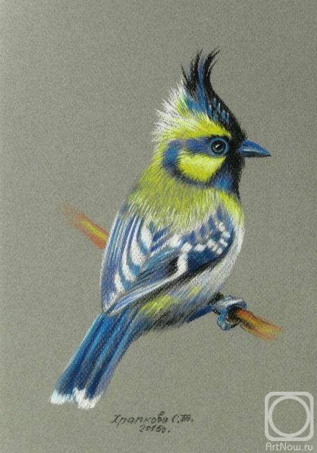 �������. �������� ��������. �������