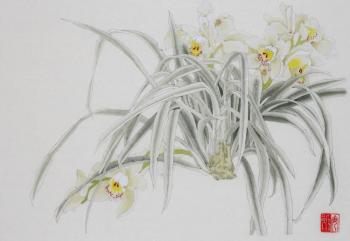 Daffodils ( ). Engardo Anna
