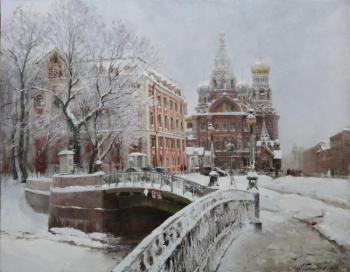 Snowy St. Petersburg. Winter 2010