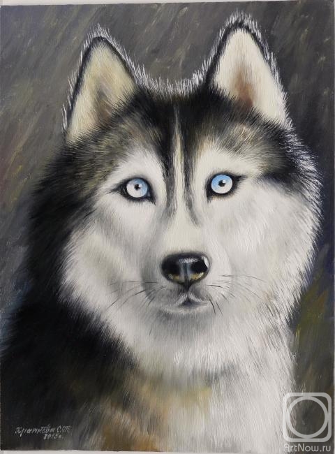 ������� ������ �� ������. �������� ��������. �����