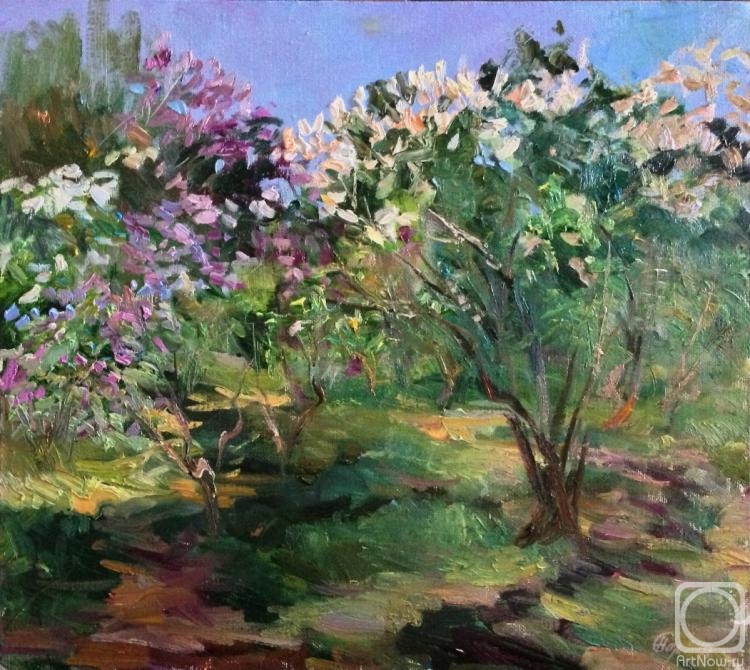 Solodilova Natalia. In the lilac bushes