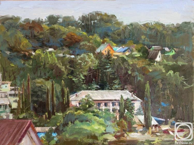 Rybina-Egorova Alena. View from the window village Makopse