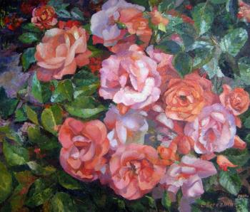 ������� �������� ����