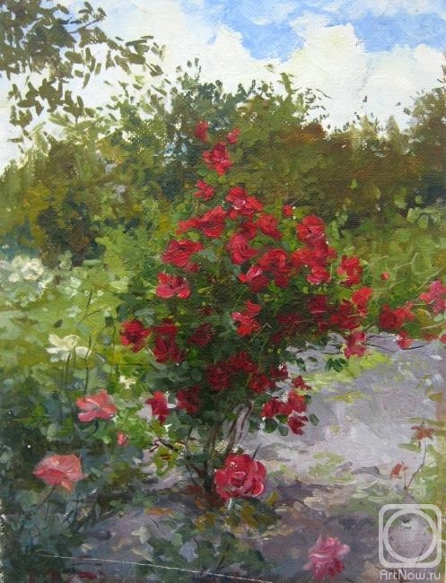 Voronov Vladimir. Rose bush