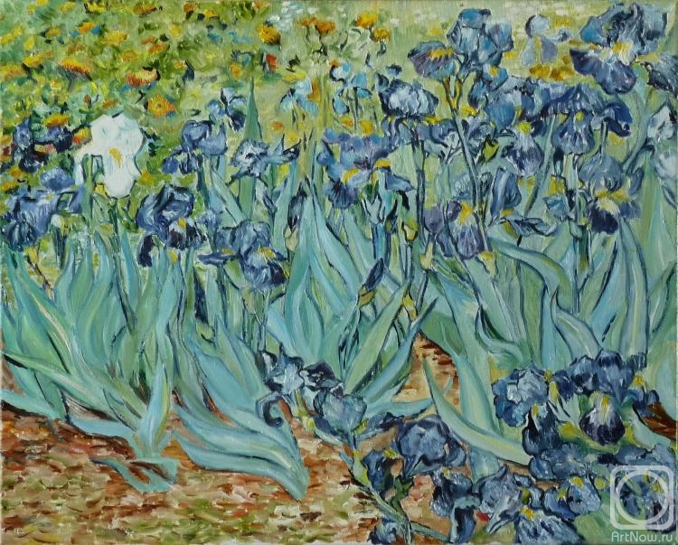    .  . Vincent van Gogh Irises 1889