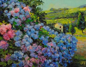Landscape with the hydrangea