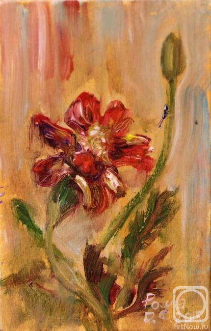 Rakhmatulin Roman. Marigold