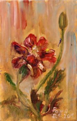 Marigold. Rakhmatulin Roman