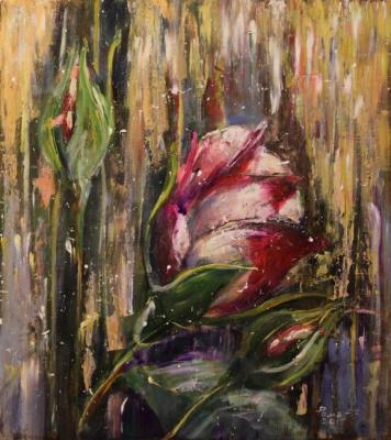 ������� �����