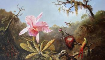 Cattelya Orchid and Three Brazilian Hummingbirds (Landscape With Hummingbirds). Zhaldak Edward