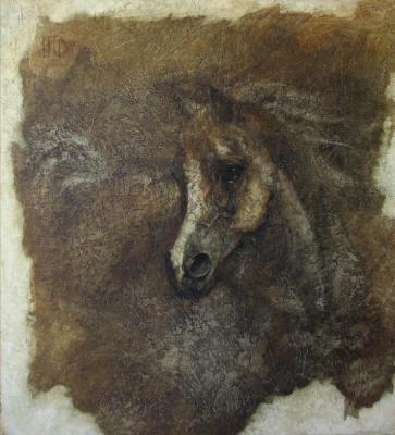 Portrait of horse