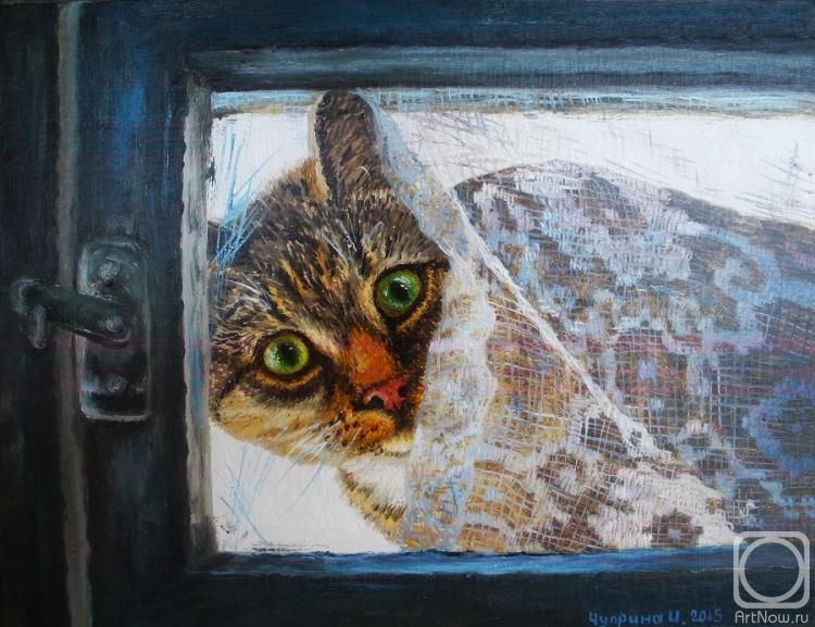 Chuprina Irina. From the old window on the world watched the cat