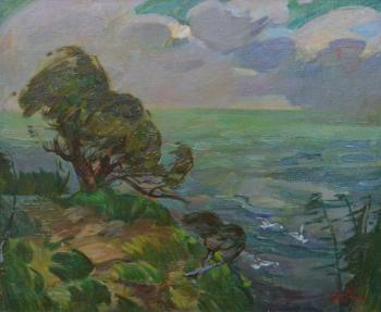 Overcast in the Manych. Timofeev Alexander