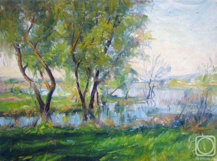 Voronov Vladimir. Spring. Sunny morning