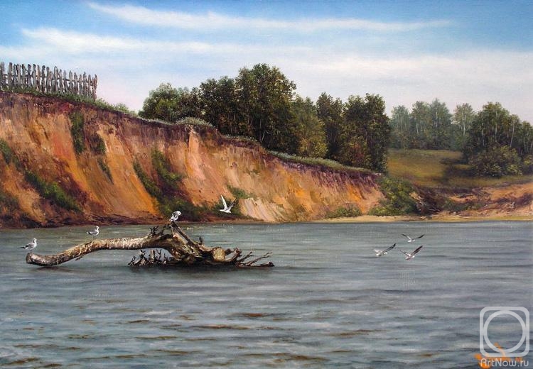 Lysov Yuriy. The seagull on Volga