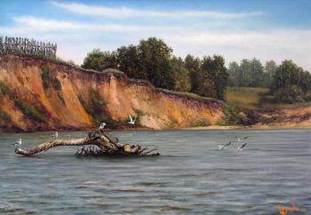 The seagull on Volga. Lysov Yuriy