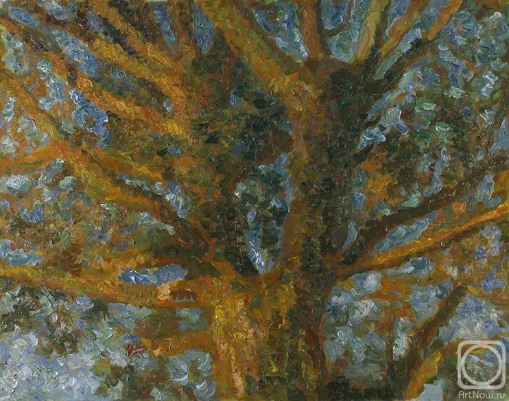 ������� ������ �� ������. ������� ������. ������