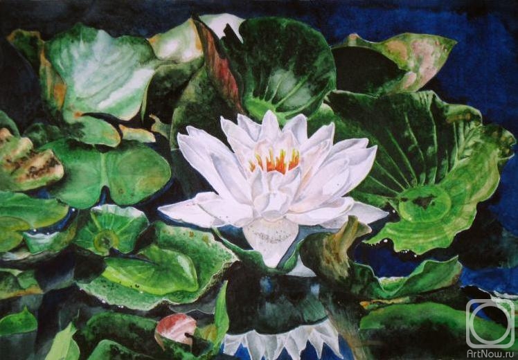 �������. ��������� ����. �����