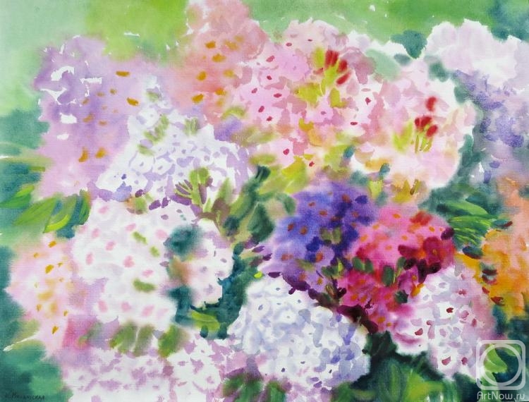 �������. ���������� ���������. ������ � ������