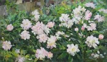 ������� ������ � ����