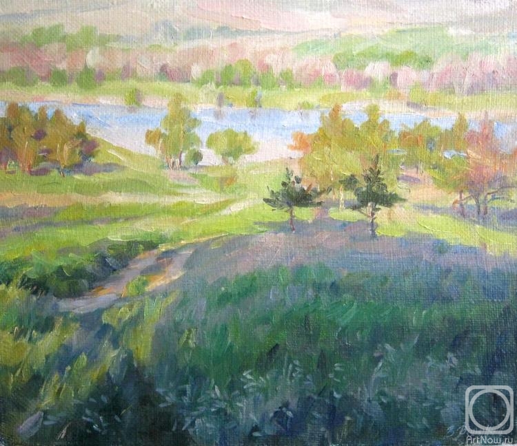 Voronov Vladimir. Afternoon