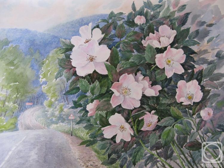 �������. ������� ��������. �������� � ������