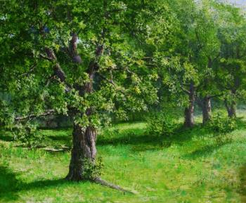 ��������� ��������. ��������� ��������