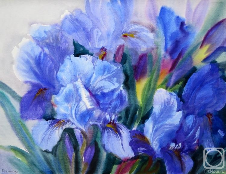 �������. ���������� ���������. �����������