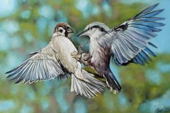 Little Angry birds. Air fight. Volya Alexander