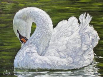 Lonely. Swan. Volya Alexander