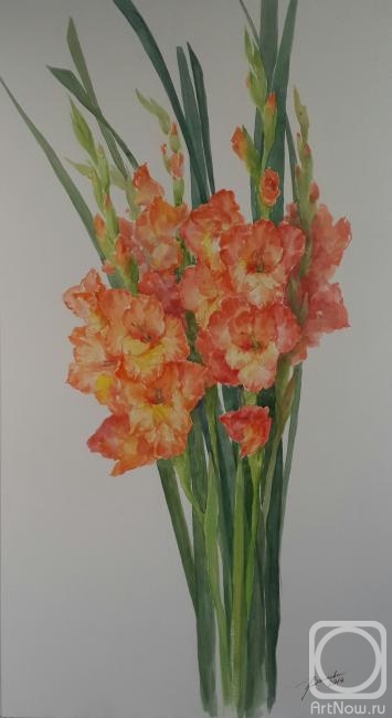 �������. ������� �������. ����������