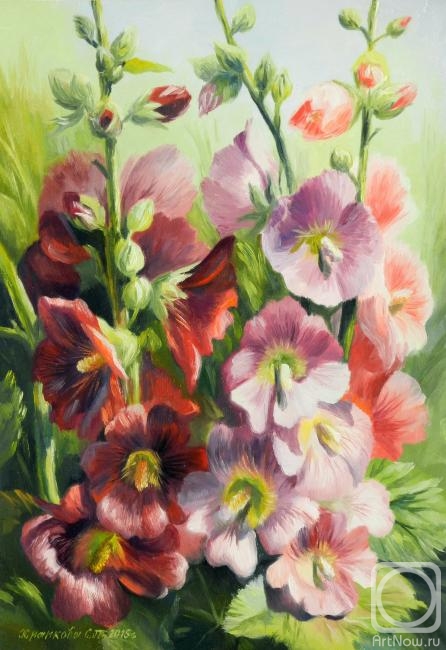 ������� ������ �� ������. �������� ��������. ������