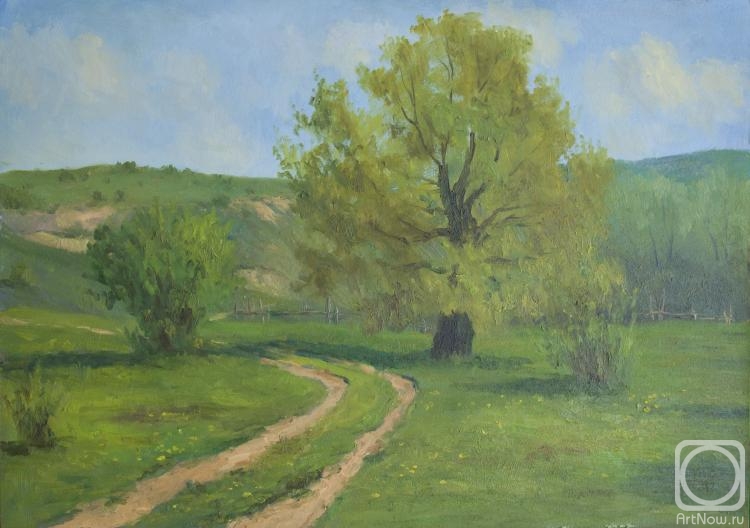 Bravkov Vladimir. May 2 in Tomuzli