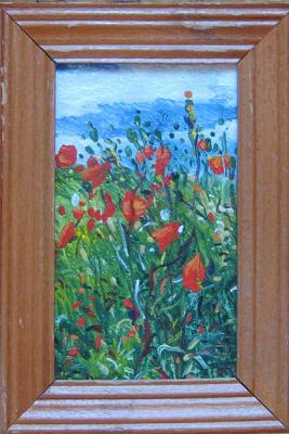 Poppies