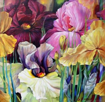 Irises mix. Shakhov Elena