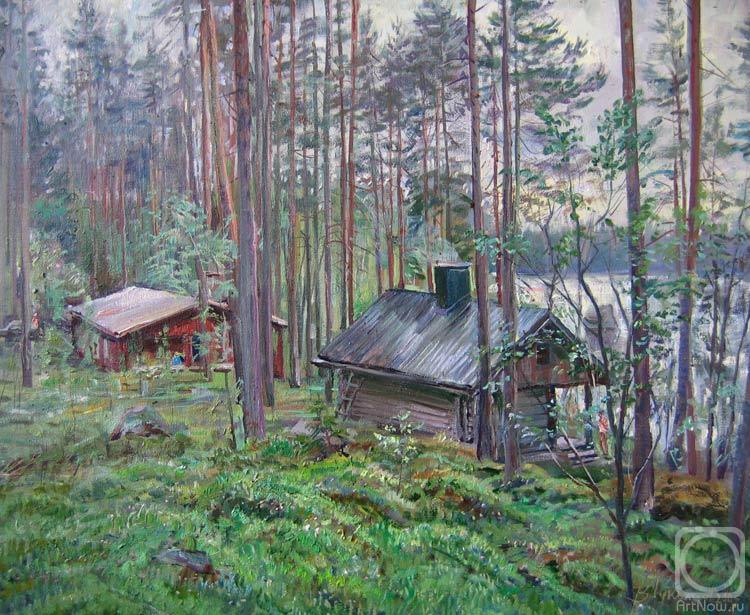 Loukianov Victor. On a summer residence of my Finnish friend Matti in Juvalla